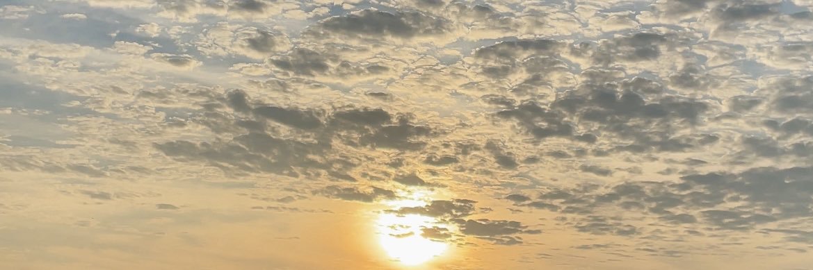 Ceteris Paribus banner