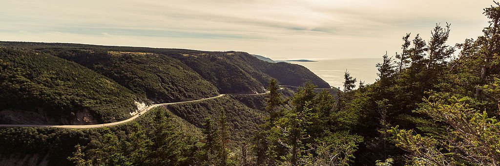 AaronWardTweets's profile banner image