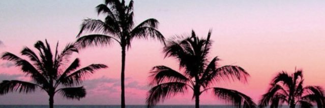 jasmina_avd's profile banner image