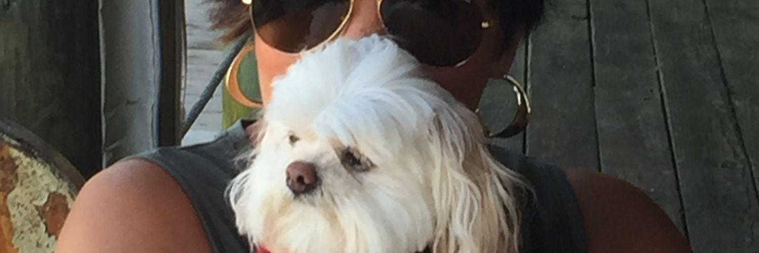 donner522's profile banner image
