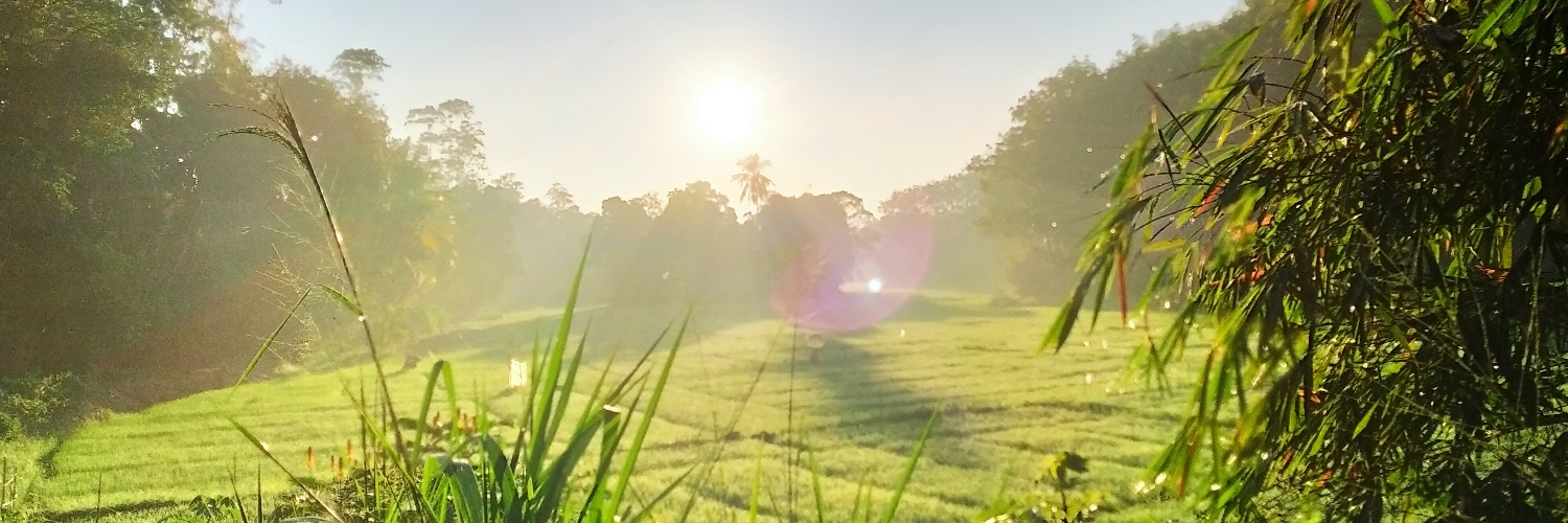 DasunFIT's profile banner image