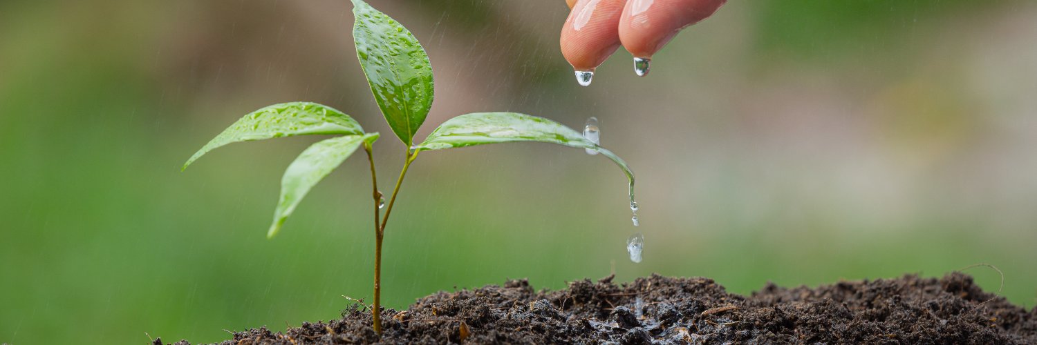 Perfruts | Fruticultura Sustentable banner