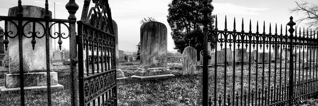 AlteredSanctuar's profile banner image