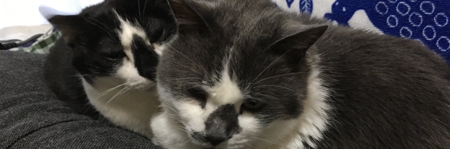 YOS4TZN's profile banner image