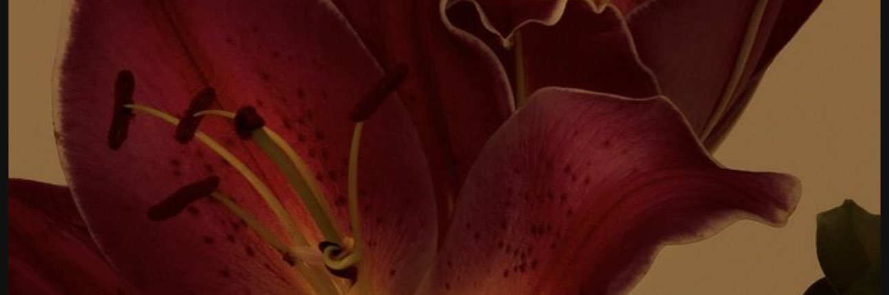 _sweetayyy's profile banner image