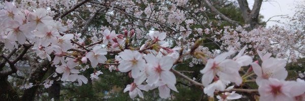 ButedCita Profile Banner