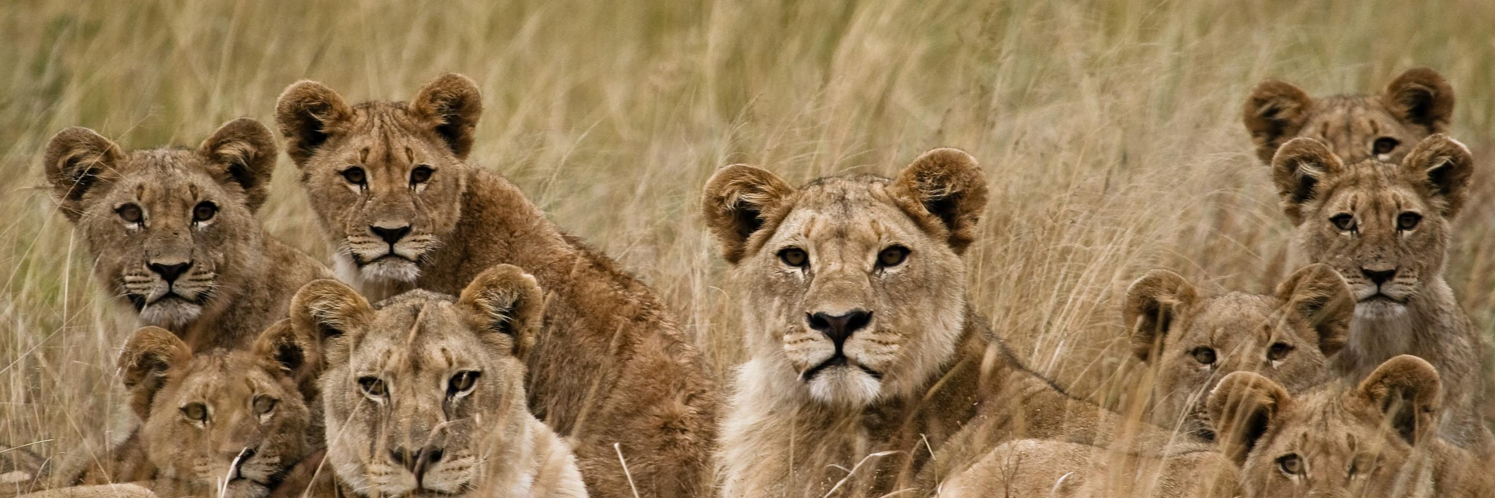 TourismThatCare's profile banner image