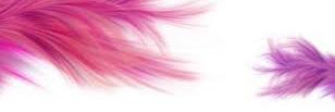 Emily_JoshNews's profile banner image