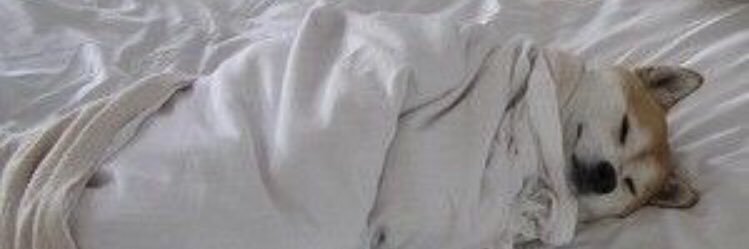 meex_1023's profile banner image