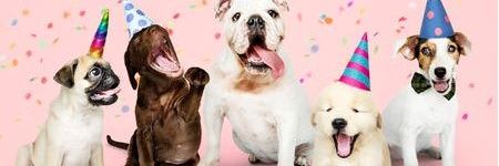 misc_ha's profile banner image