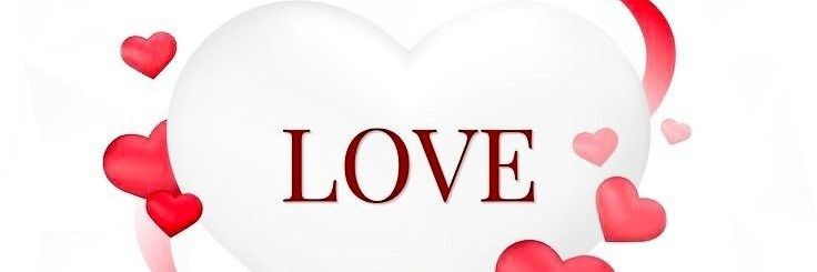 🇧🇷Louzival 2011 MGWV's banner