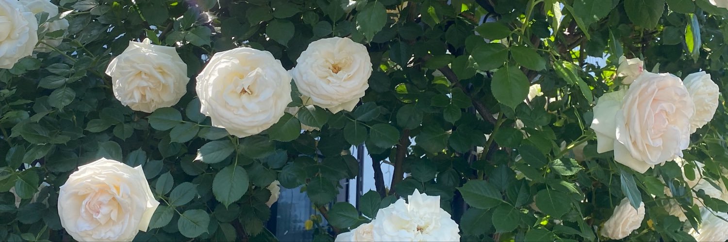 ssssss_sk's profile banner image