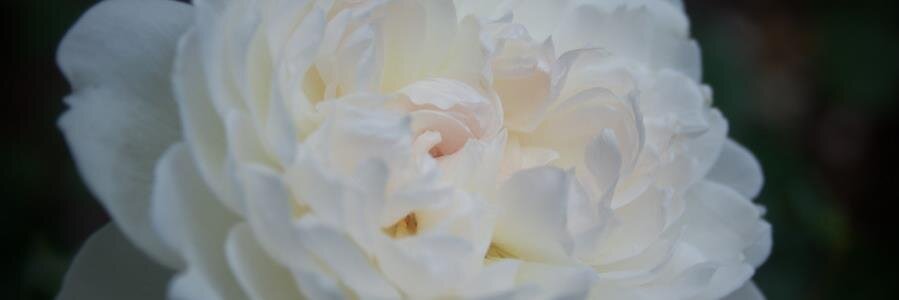 MahmoudFathy15's profile banner image