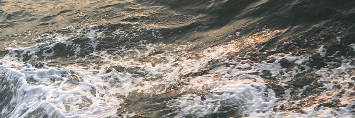 991126_YOUNG's profile banner image