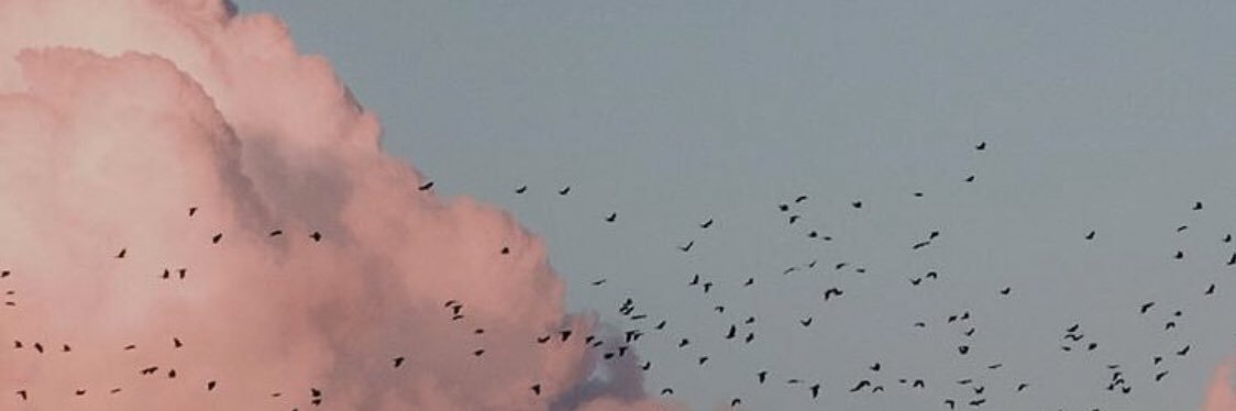 iladyms's profile banner image