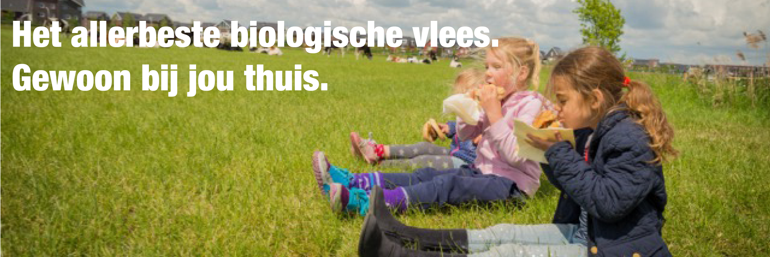 UwStadsboer's profile banner image
