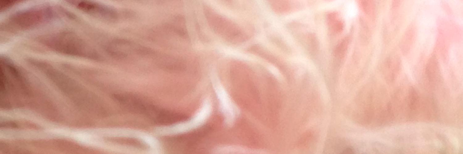 mlpepu's profile banner image