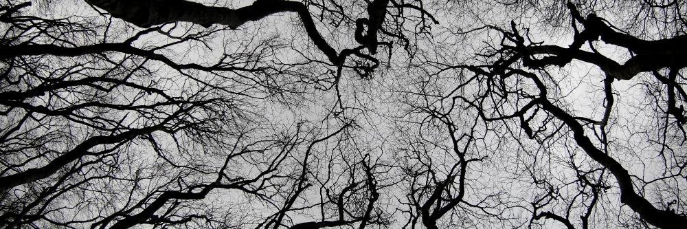 babixx_'s profile banner image