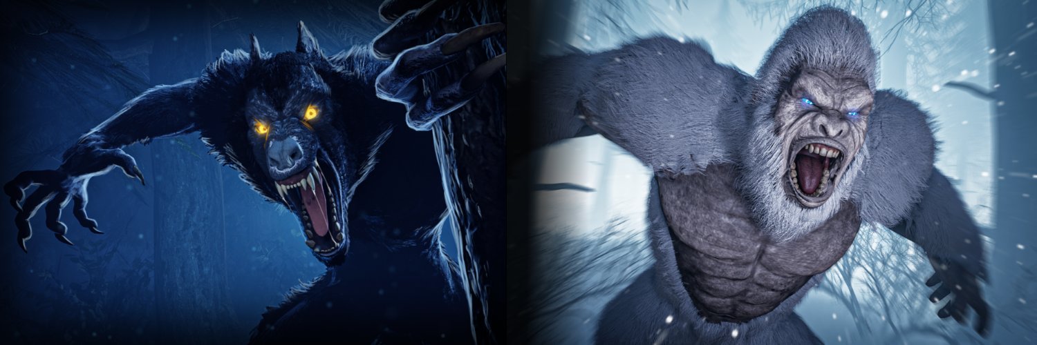 TomNetwork banner