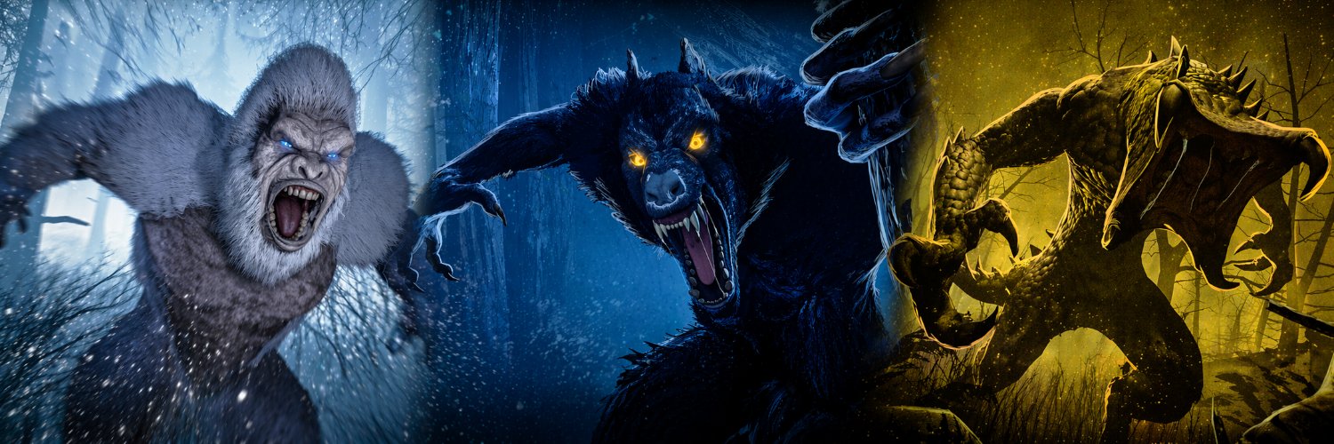 TomNetworkFN's profile banner image