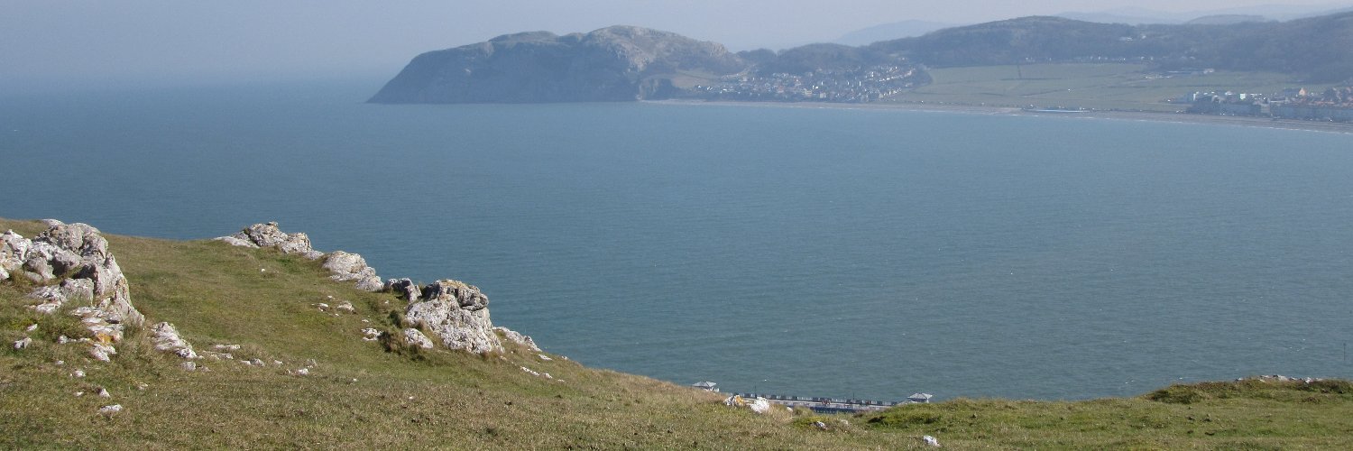 sy968's profile banner image