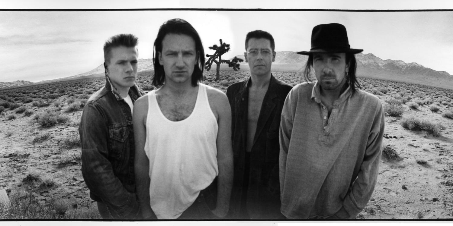 fatherofkitty banner