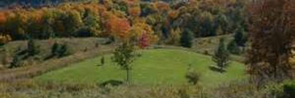 CaledonOptimist Profile Banner