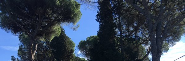 Jasephu Profile Banner