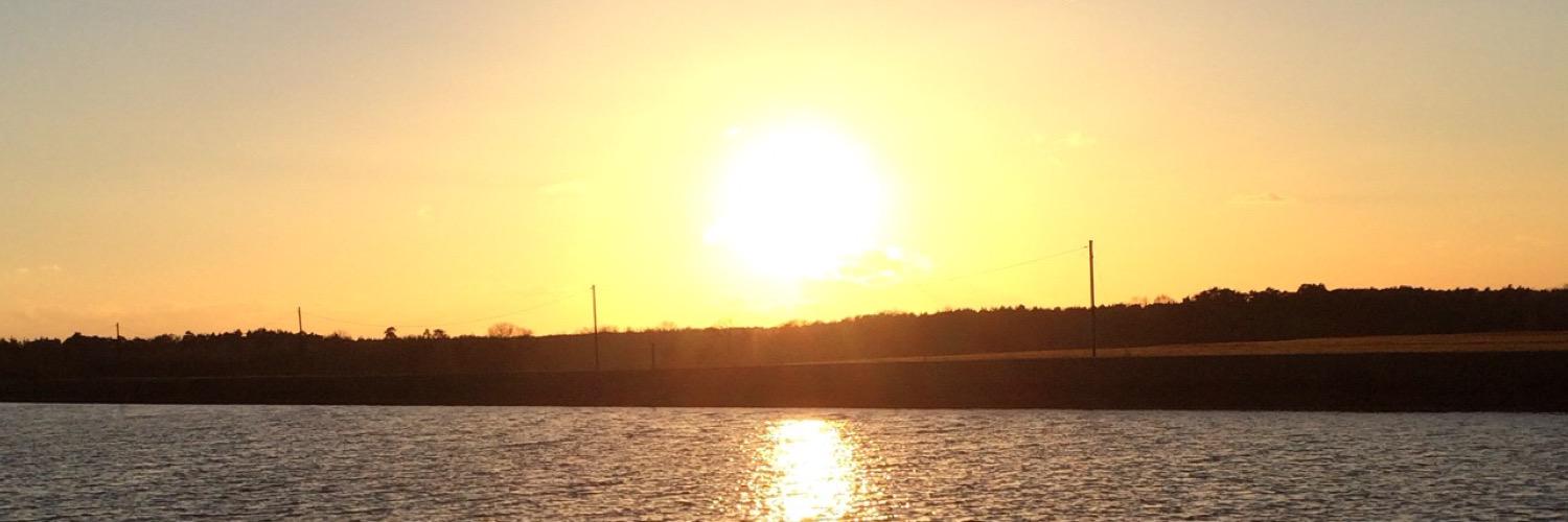 pingoxo's profile banner image