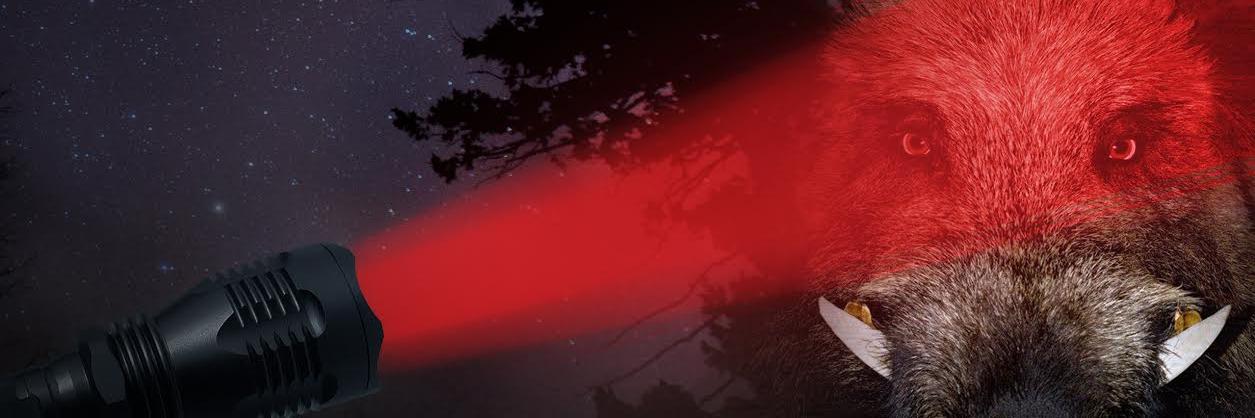 kzflashlights's profile banner image