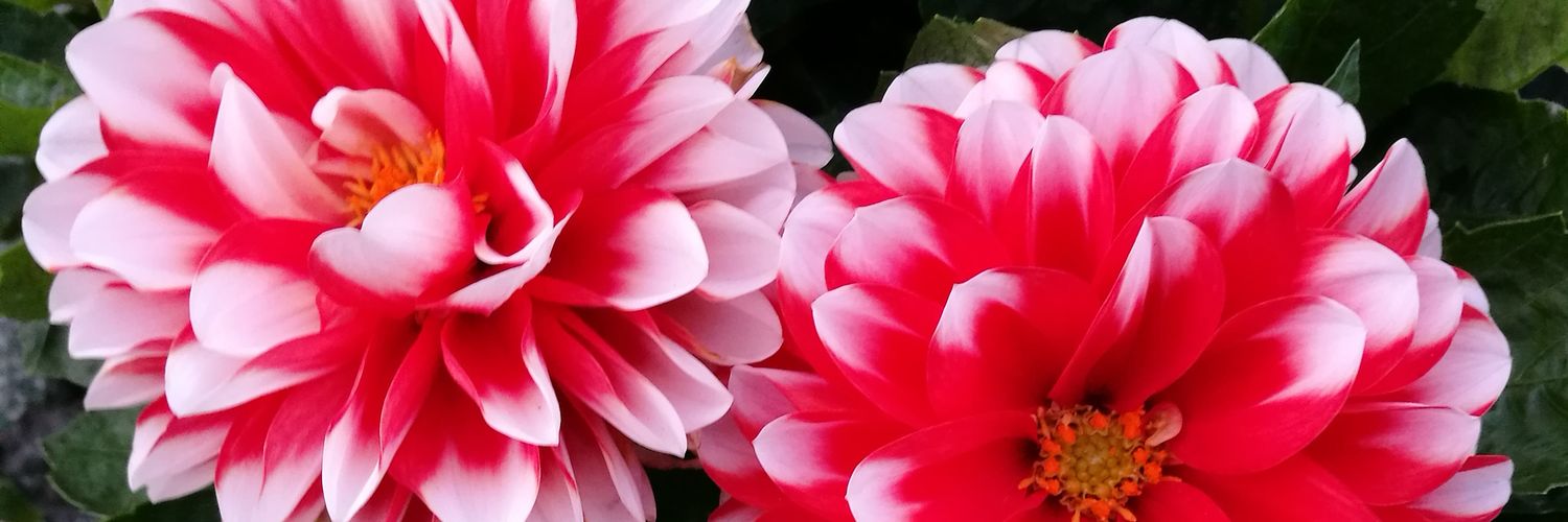 ElNandi1024's profile banner image