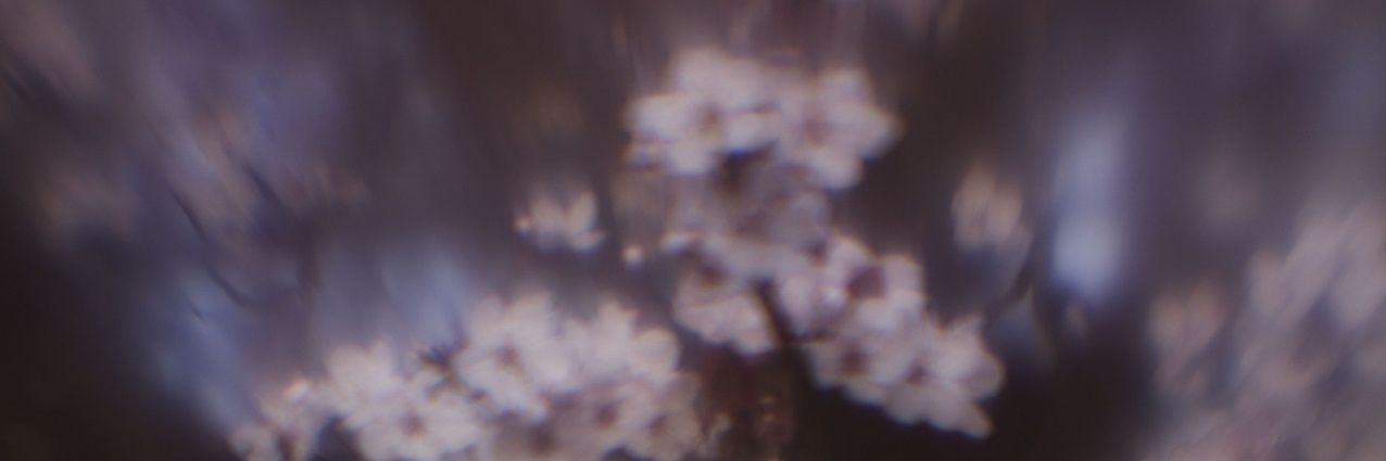 TruroPhoto's profile banner image