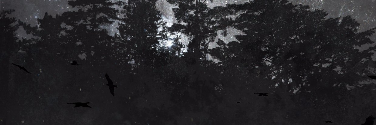 hollow_works's profile banner image