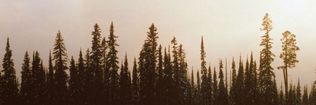 malloryennis's profile banner image