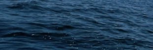 _linscar's profile banner image
