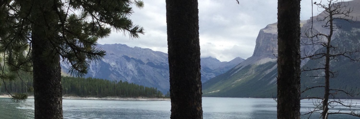 Miss Beresford banner