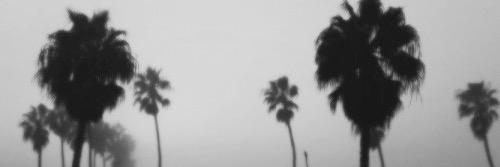 valentinaction's profile banner image