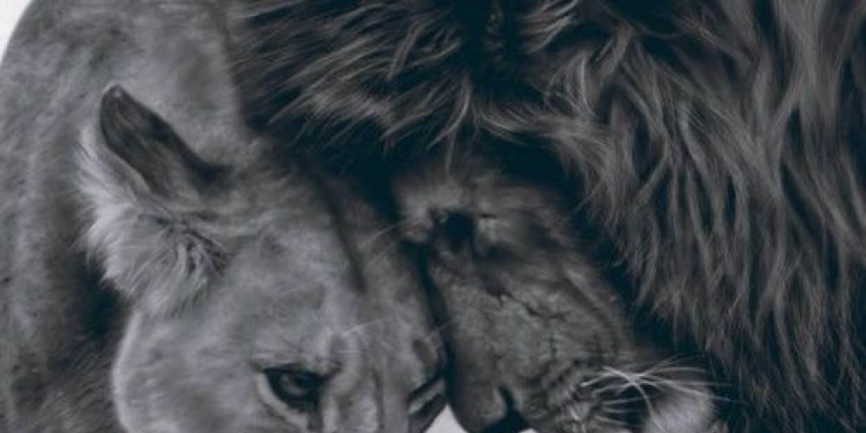 kevinlooy's profile banner image