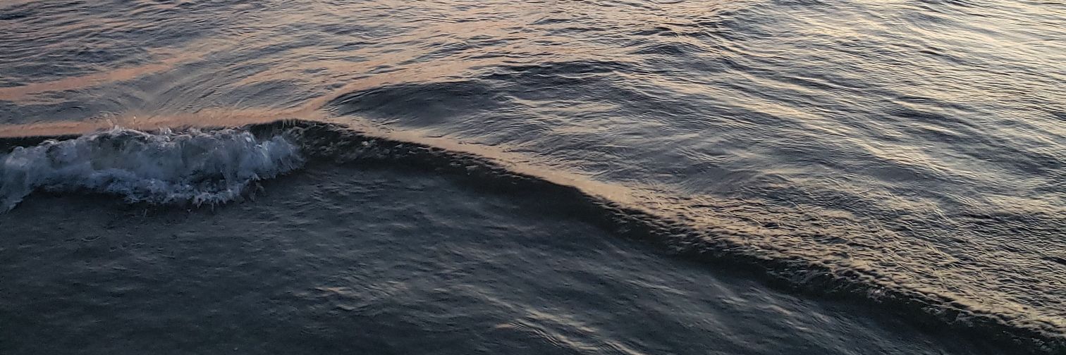 paupache4's profile banner image
