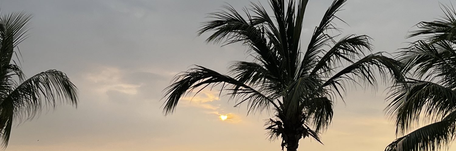 tellisaurus's profile banner image