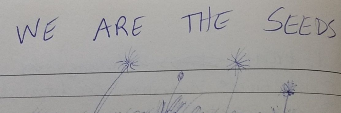 @chaspinrad@kolektiva.social banner