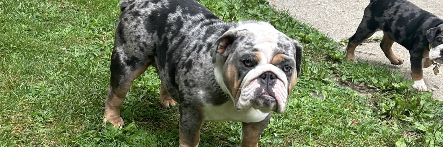 Stephon Chapman banner