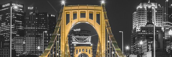 Pitt Wrestling Club banner