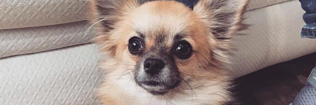 geovanniard's profile banner image