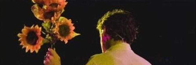 harryalwaysmx's profile banner image