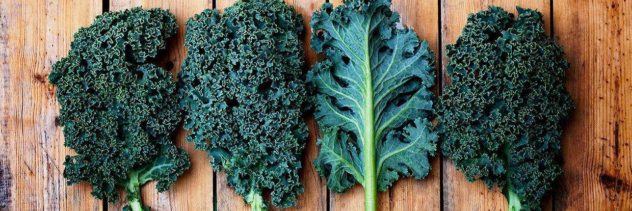 deepfriedkale's profile banner image