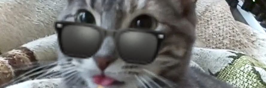 inesdcy's profile banner image