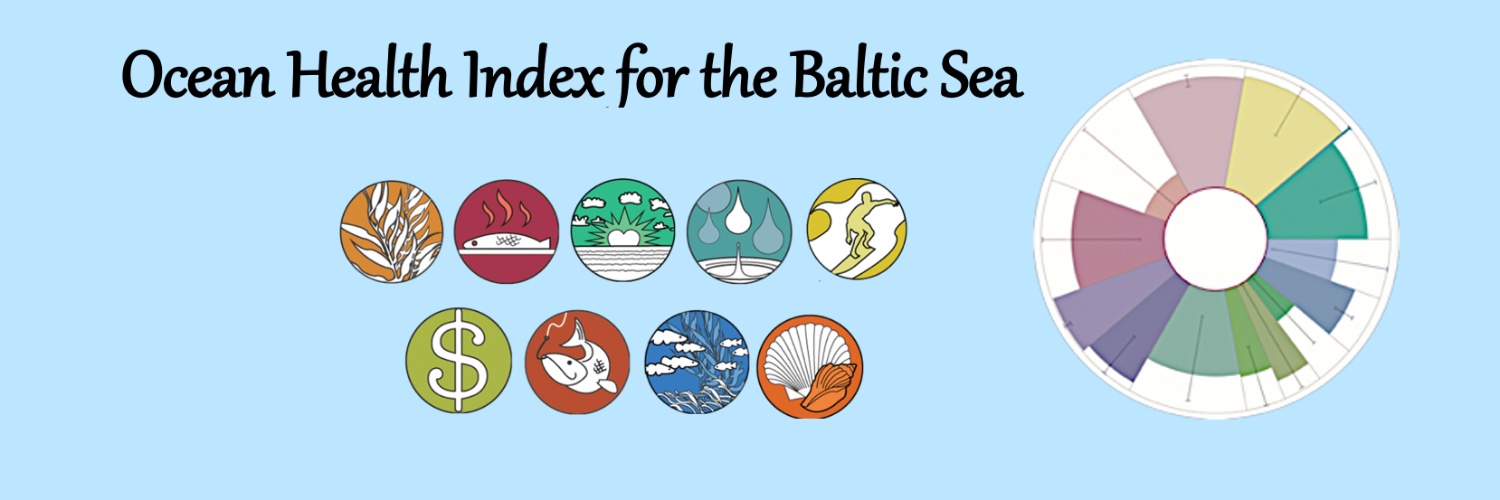 Baltic Health Index banner