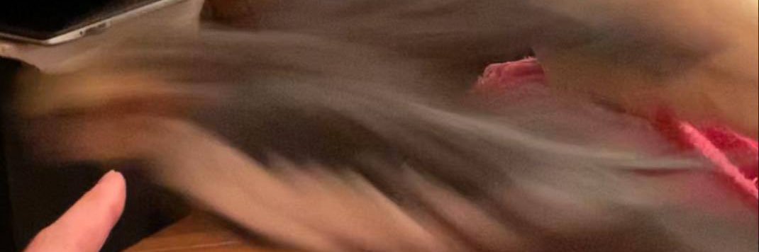 Francesca || FunnyBunny Era 🐰 banner