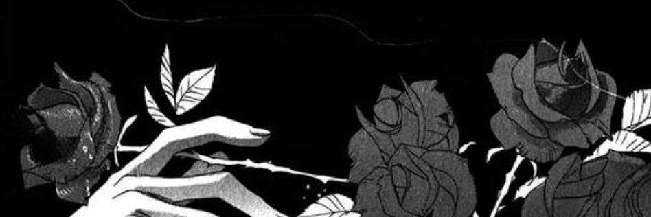 TCecere's profile banner image